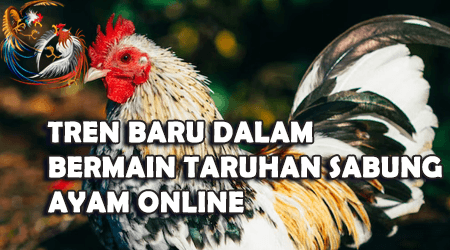 tren baru dalam bertaruh sabung ayam online